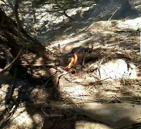 1588234941833327KCwN.png image.png